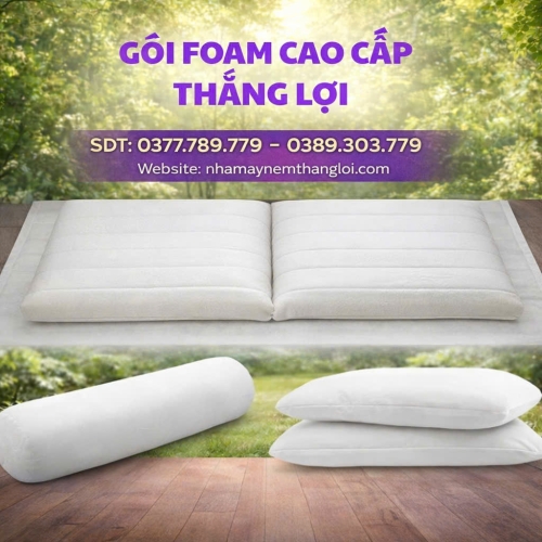 BỘ GỐI CAO SU FOAM THẮNG LỢI ( 2 NẰM + 1 ÔM)