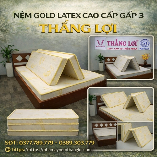 Nệm cao su Thắng Lợi Gold Latex gấp 3