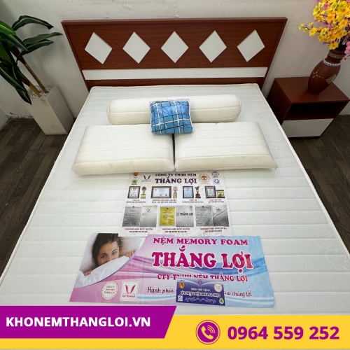 BỘ GỐI CAO SU FOAM THẮNG LỢI ( 2 NẰM + 1 ÔM)