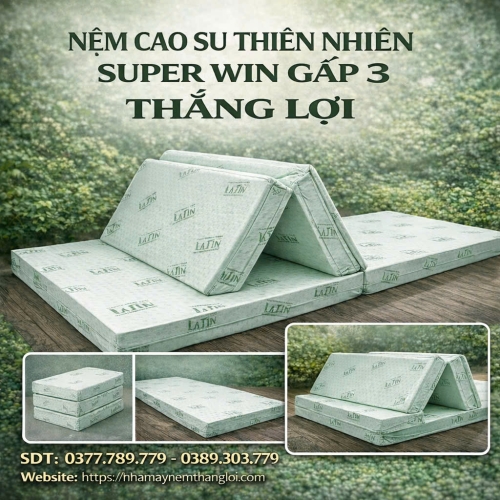 Nệm cao su thiên nhiên Super Win Thắng Lợi gấp 3