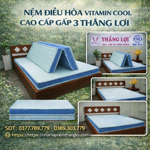 Nệm điều hòa Thắng Lợi Vitamin Cool gấp 3