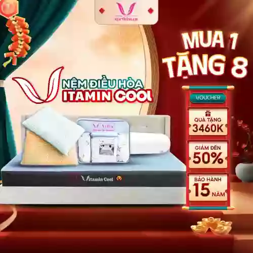 Nệm điều hòa Thắng Lợi Vitamin Cool 4 màu