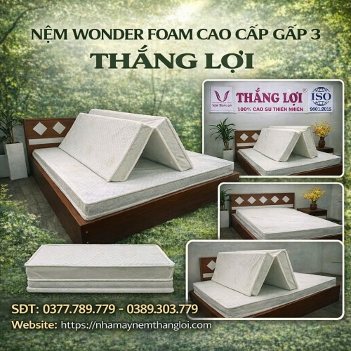 Nệm Cao Su Wonder Foam Thắng Lợi Gấp 3